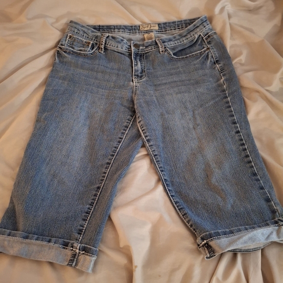 Earl Jean Women's Blue Denim Cropped Jeams - Picture 3 of 7